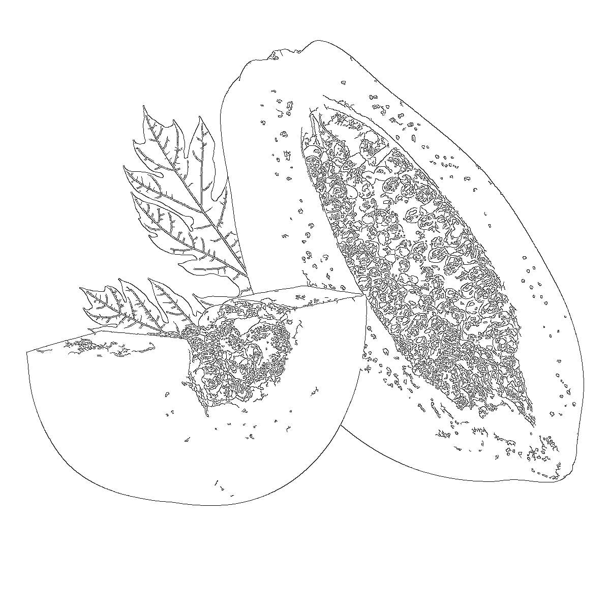 BIOXIDEA Papaya