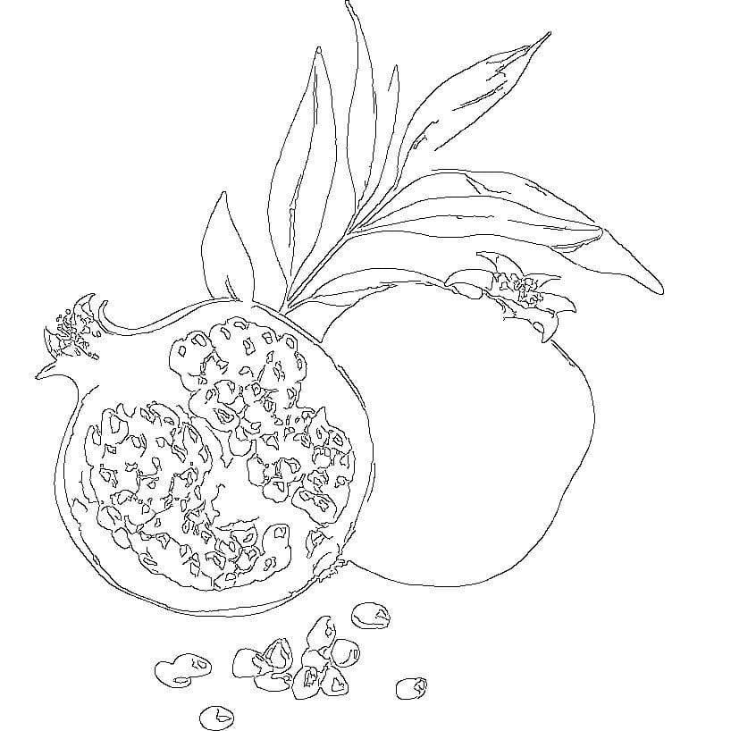 BIOXIDEA Pomegranate